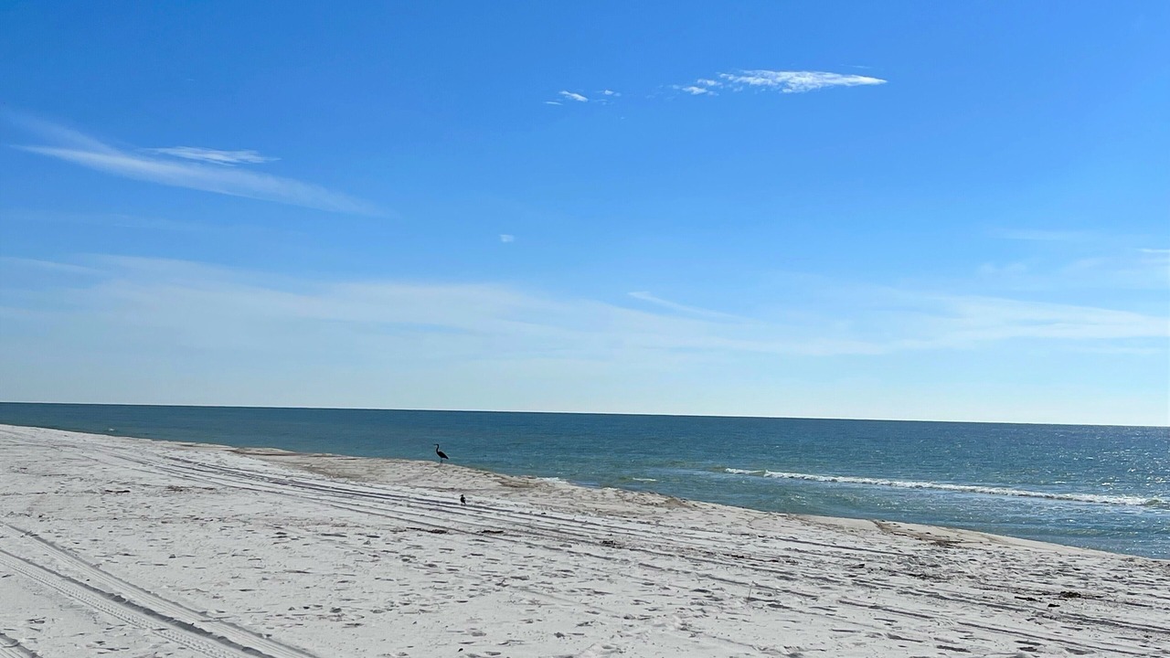 Photo of Others in Orange Beach East