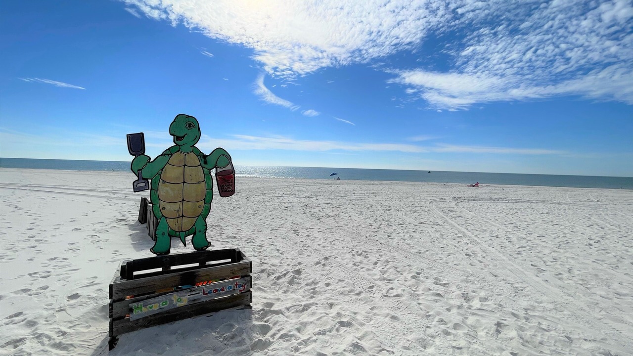 Photo of Others in Orange Beach East