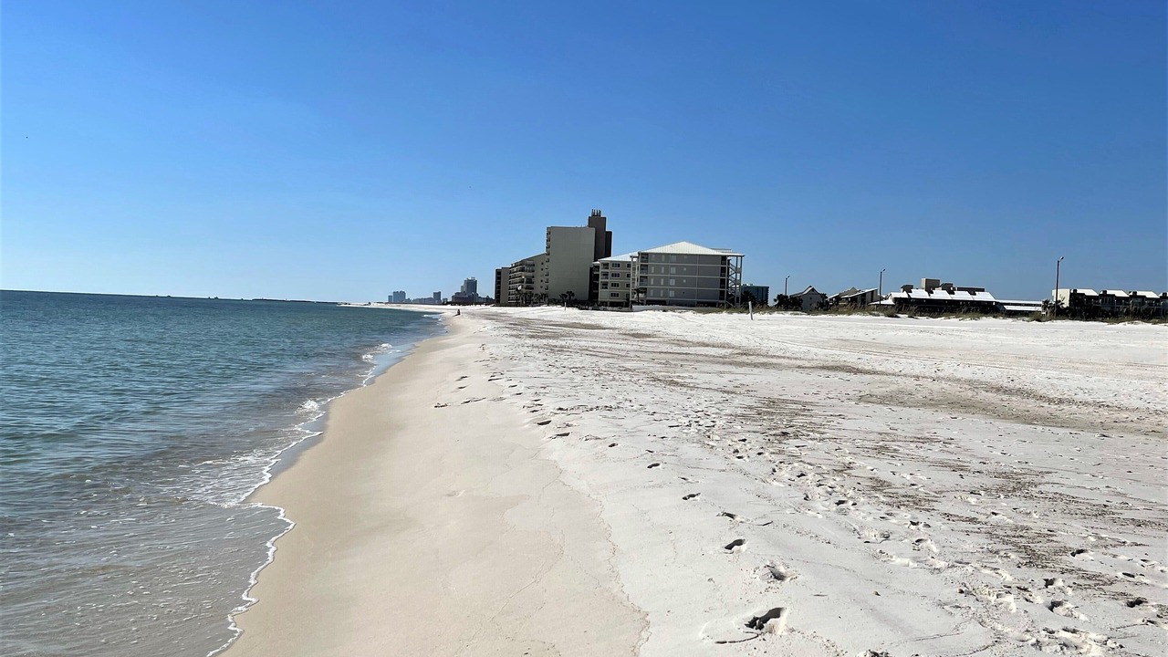 Photo of Others in Orange Beach East