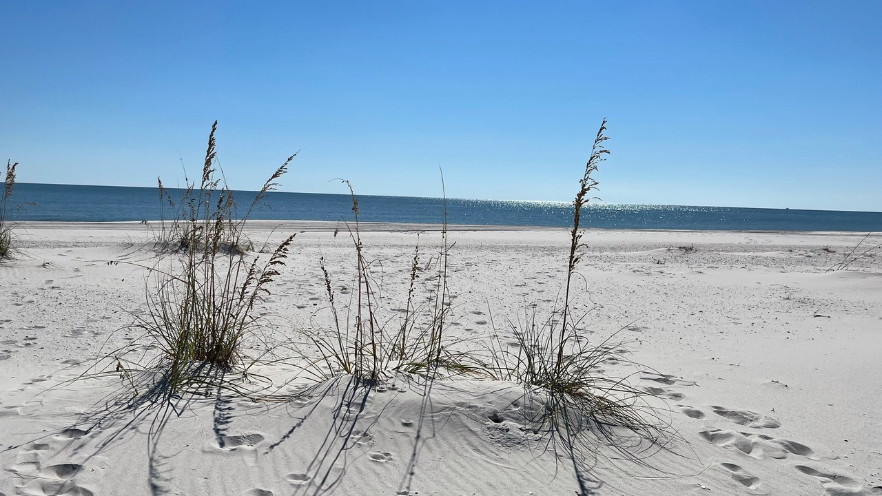 Photo of Others in Orange Beach East