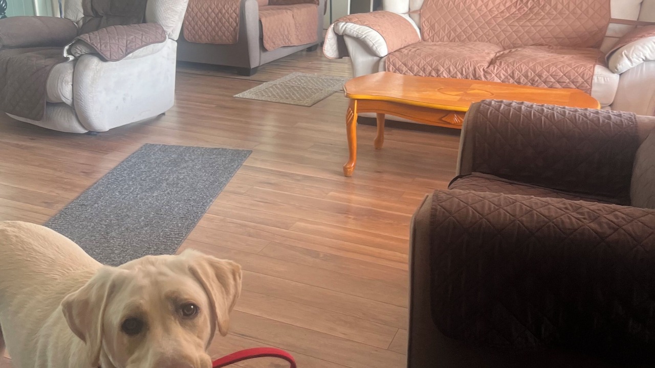 Photo of Livingroom in Town of Torrey