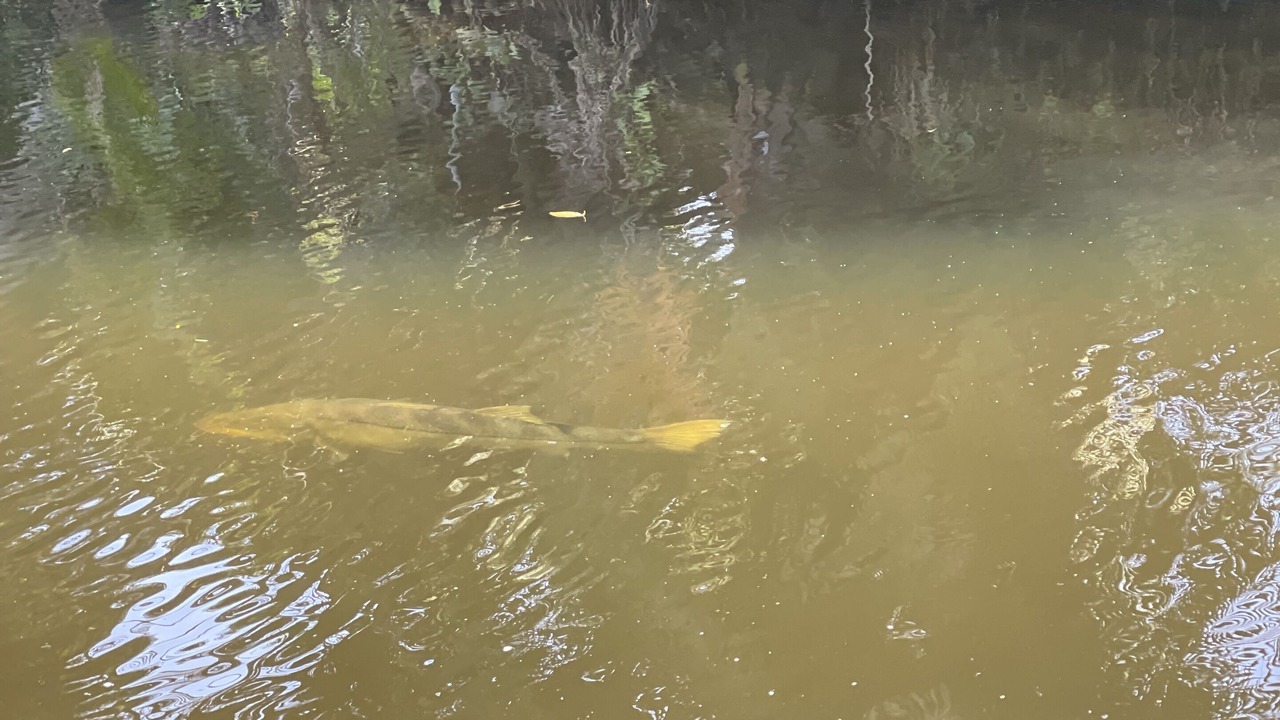 Photo of Others in Palm River Estates