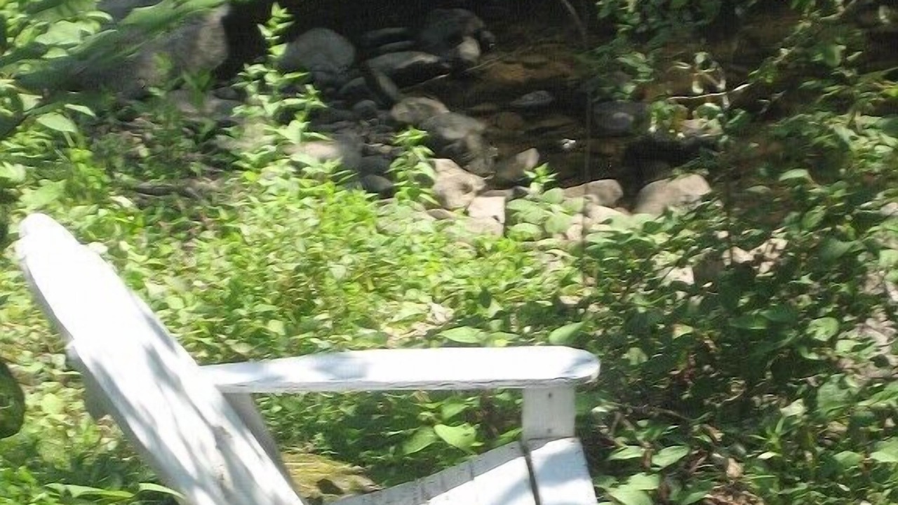 Photo of Outdoor in Bantam