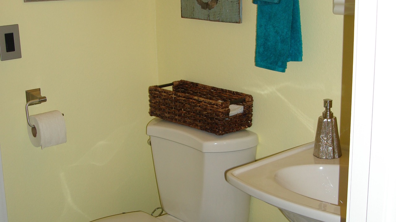 Photo of Bathroom in Ono Island