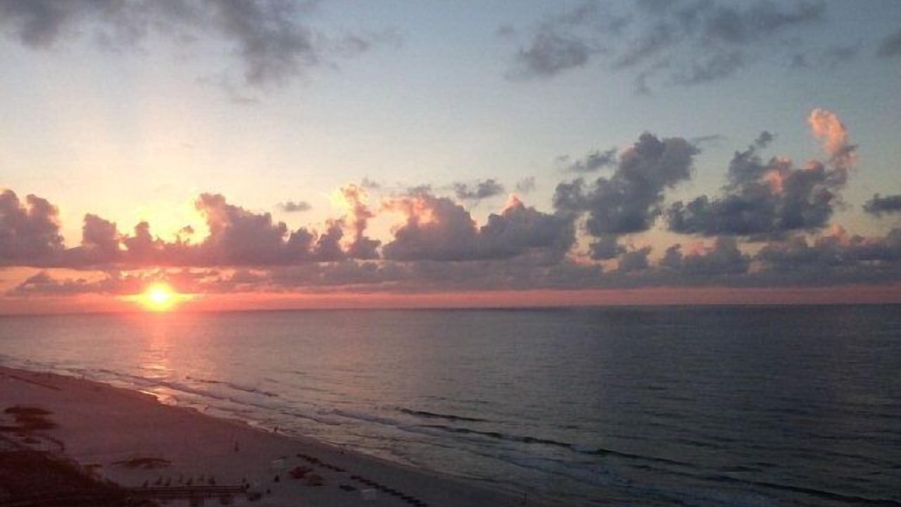 Photo of Others in Orange Beach East
