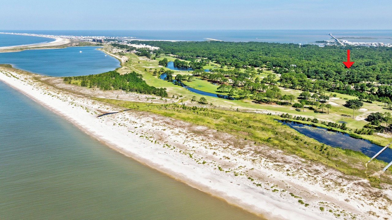 Photo of Outdoor in Dauphin Island