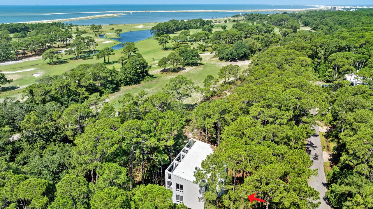 Photo of Outdoor in Dauphin Island