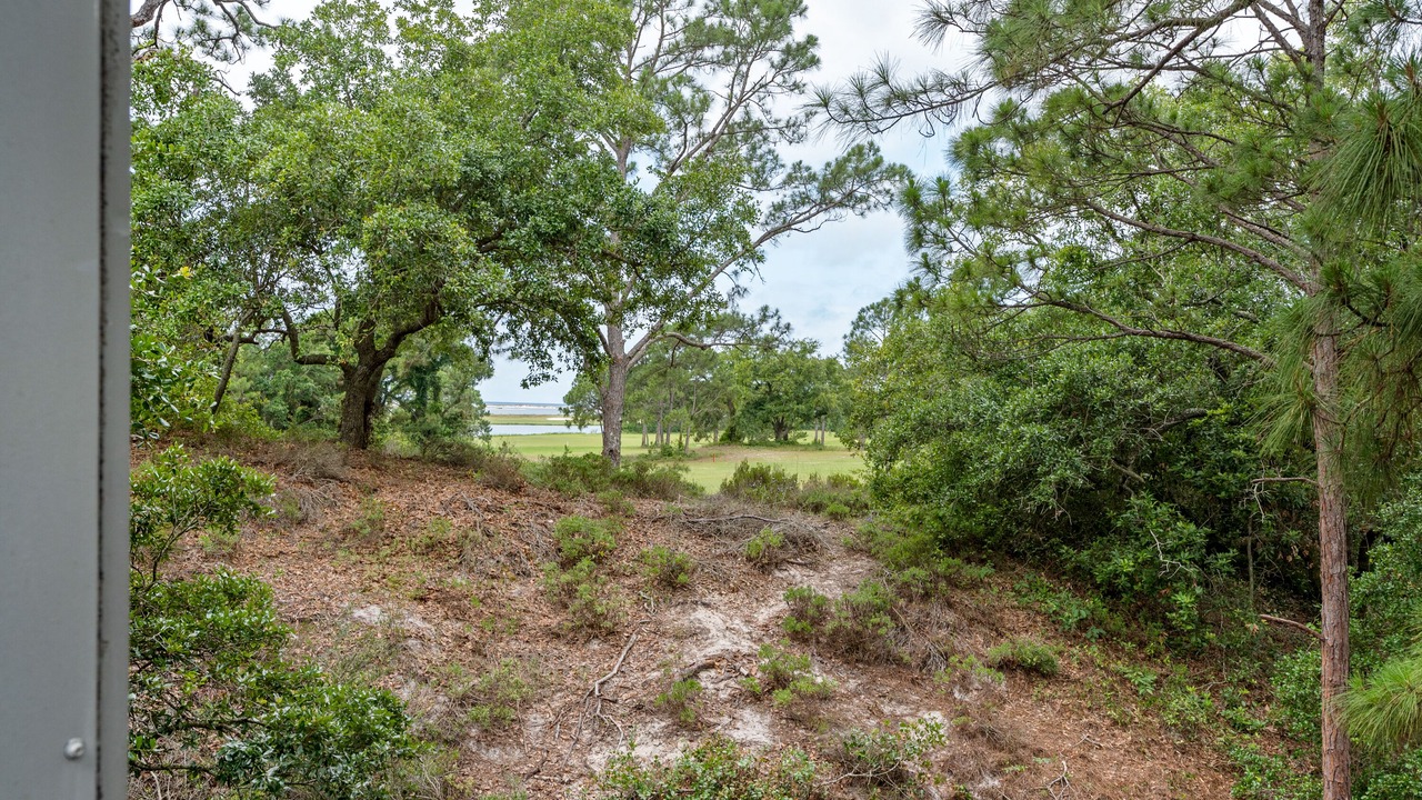 Photo of Others in Dauphin Island