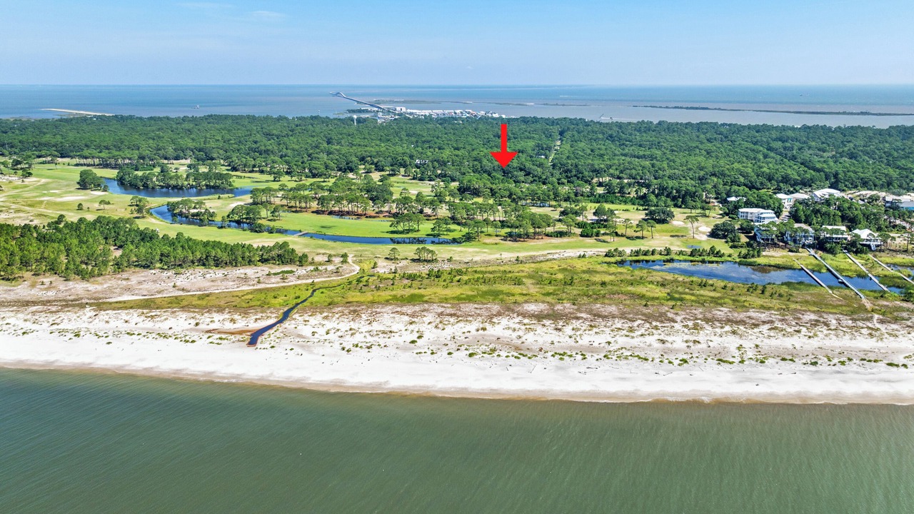 Photo of Outdoor in Dauphin Island