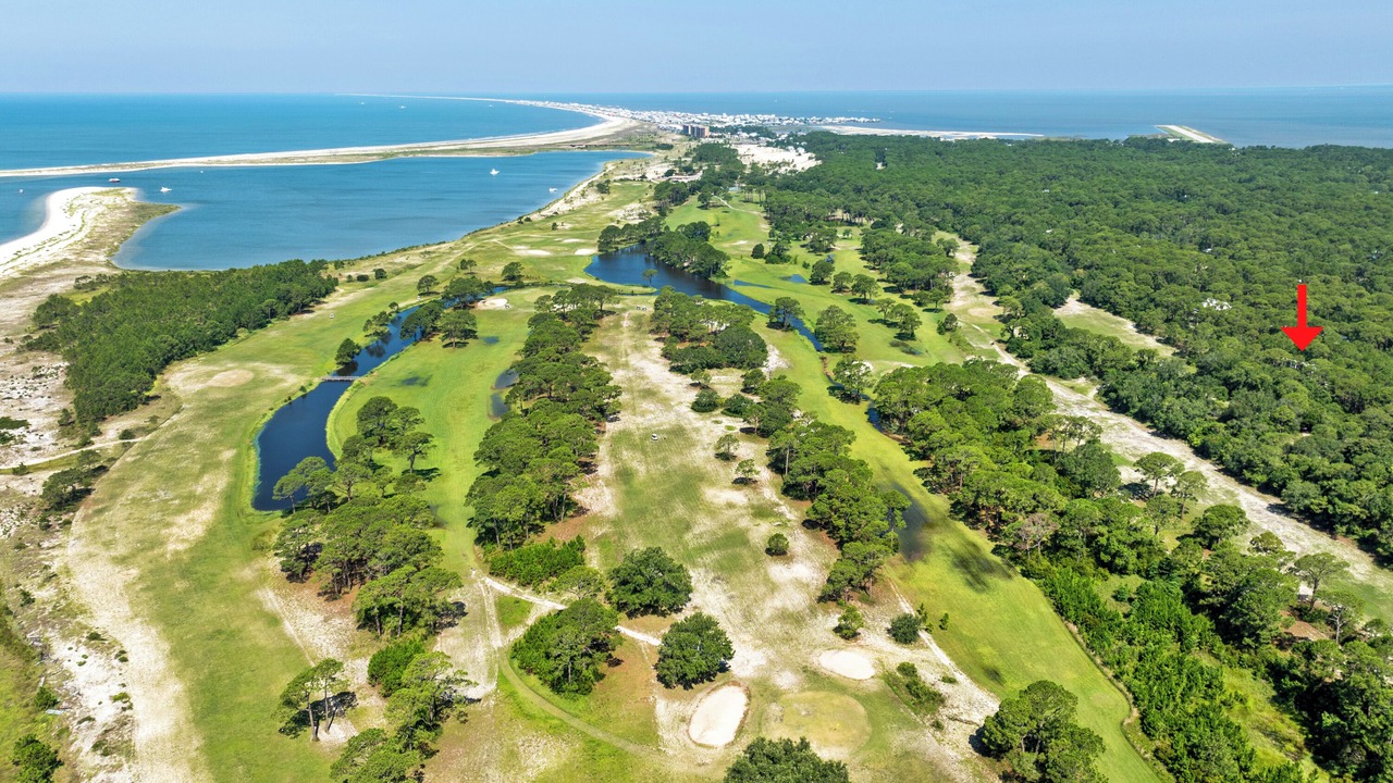 Photo of Outdoor in Dauphin Island