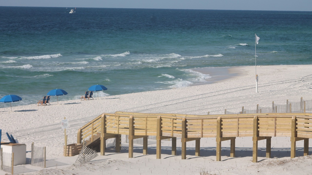 Photo of Others in Orange Beach East
