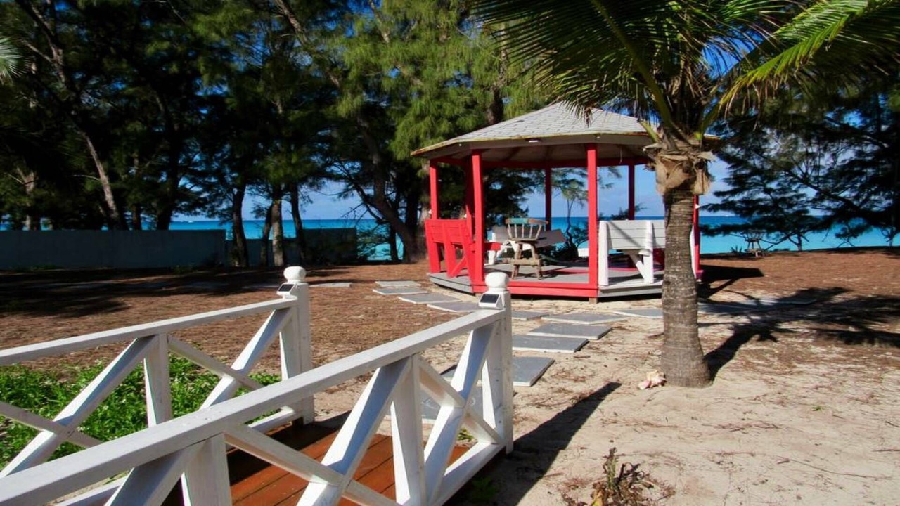 Photo of Outdoor in Alice Town