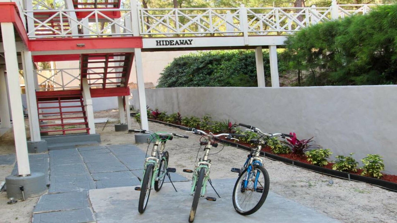 Photo of Outdoor in Alice Town