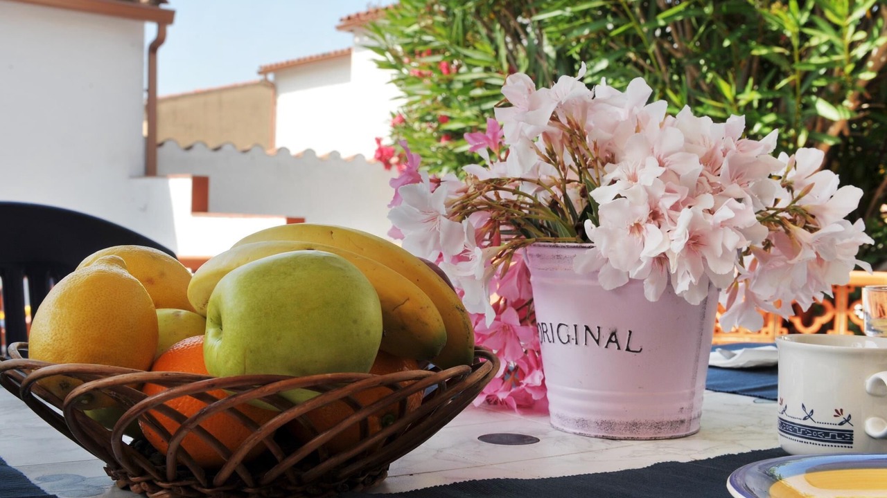 Photo of Outdoor in L'Escala