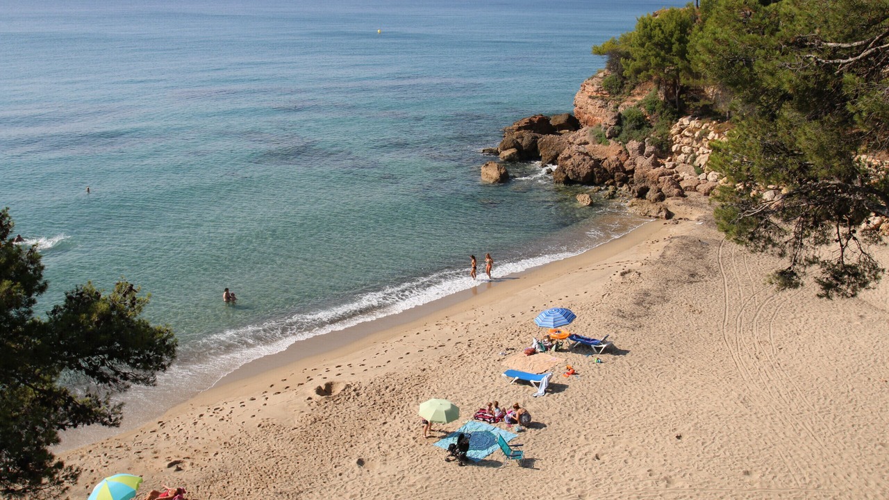 Photo of Others in Miami Platja