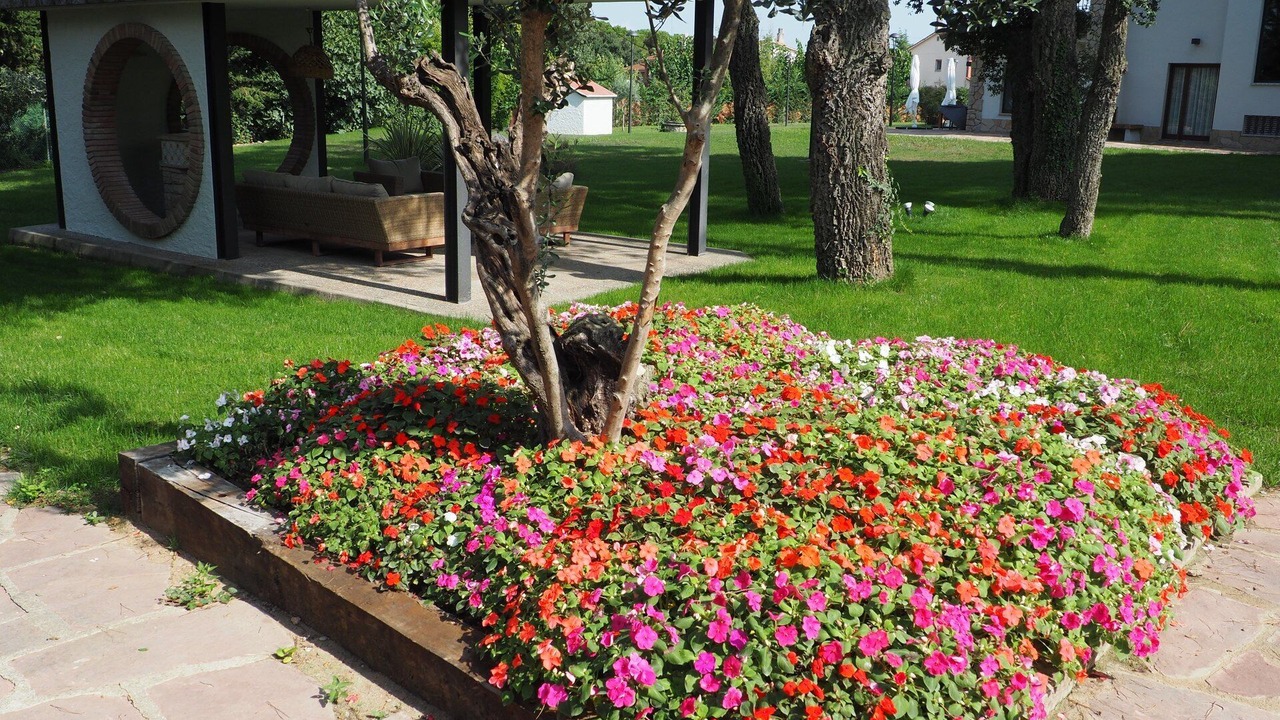 Photo of Outdoor in Santa Eulalia de Roncana