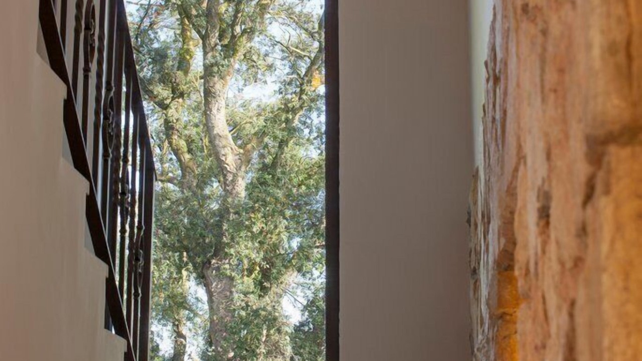 Photo of Others in Santa Eulalia de Roncana