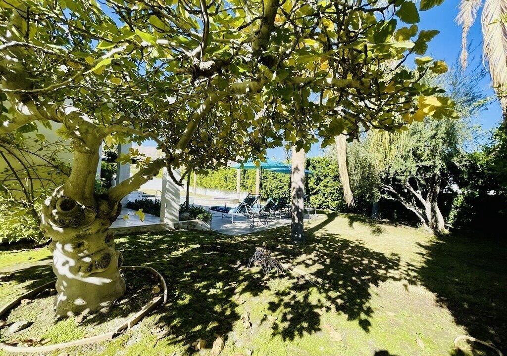 Photo of Outdoor in Palm Desert