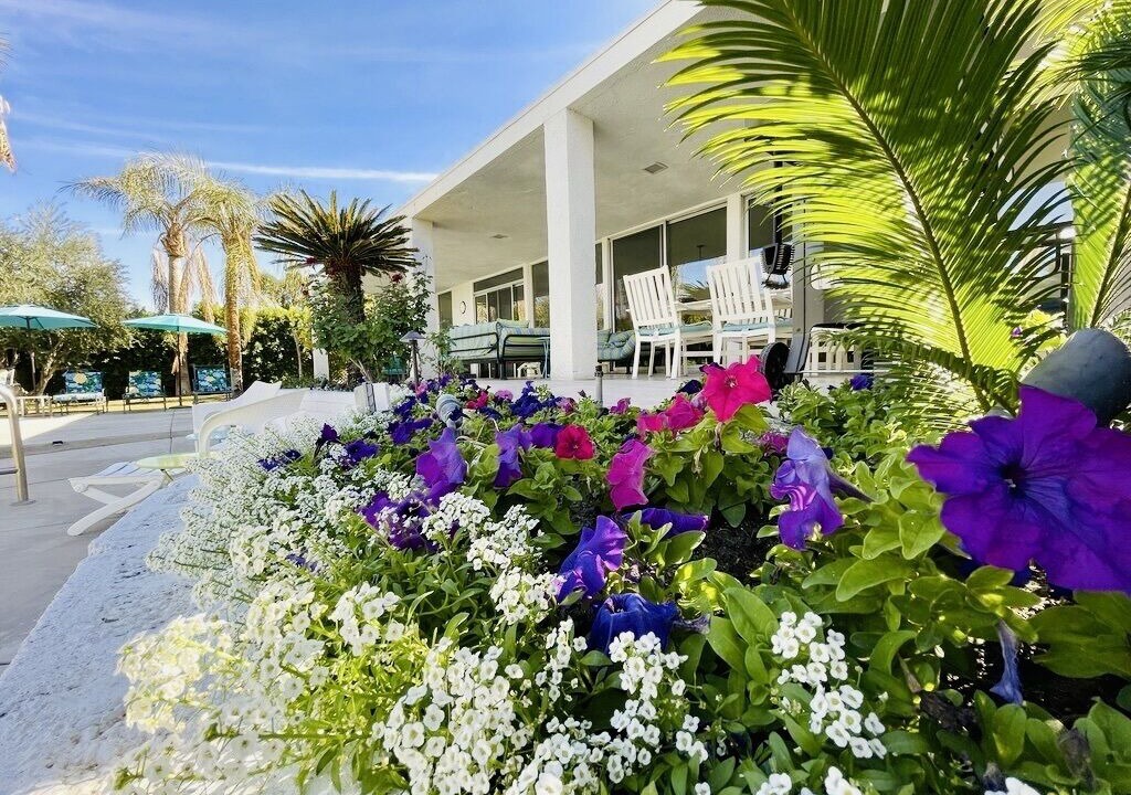 Photo of Outdoor in Palm Desert
