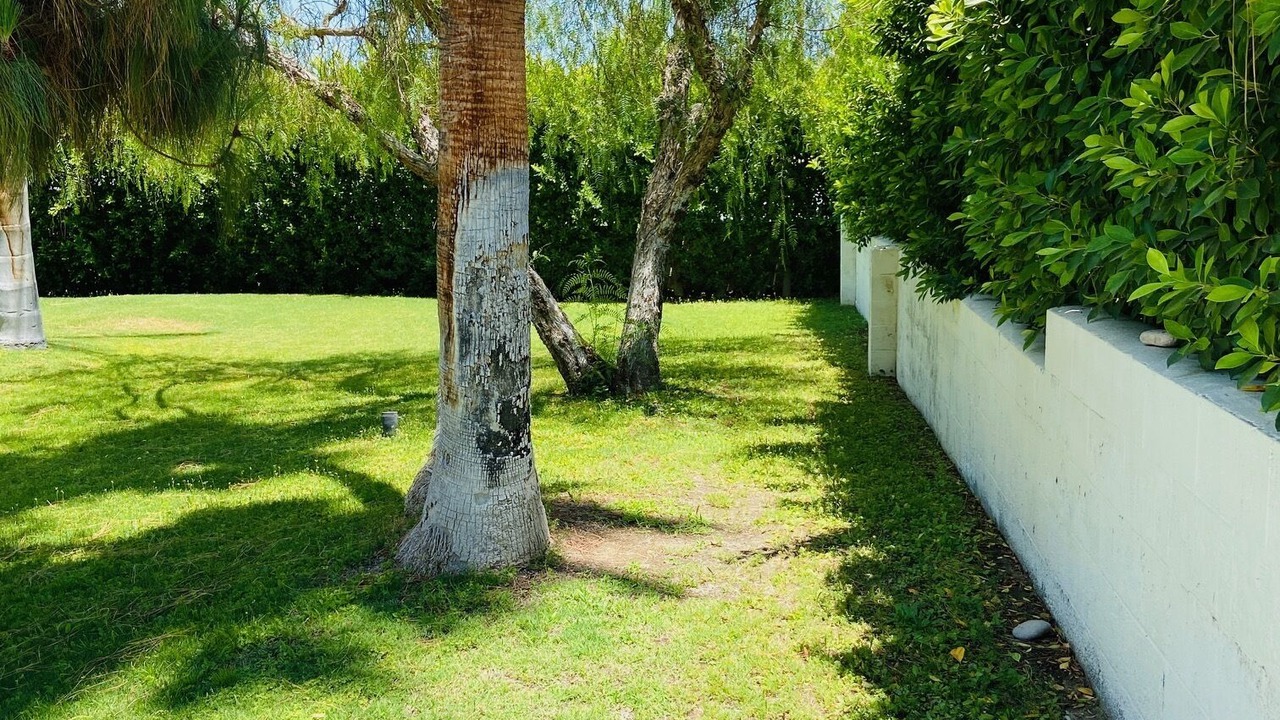 Photo of Outdoor in Palm Desert