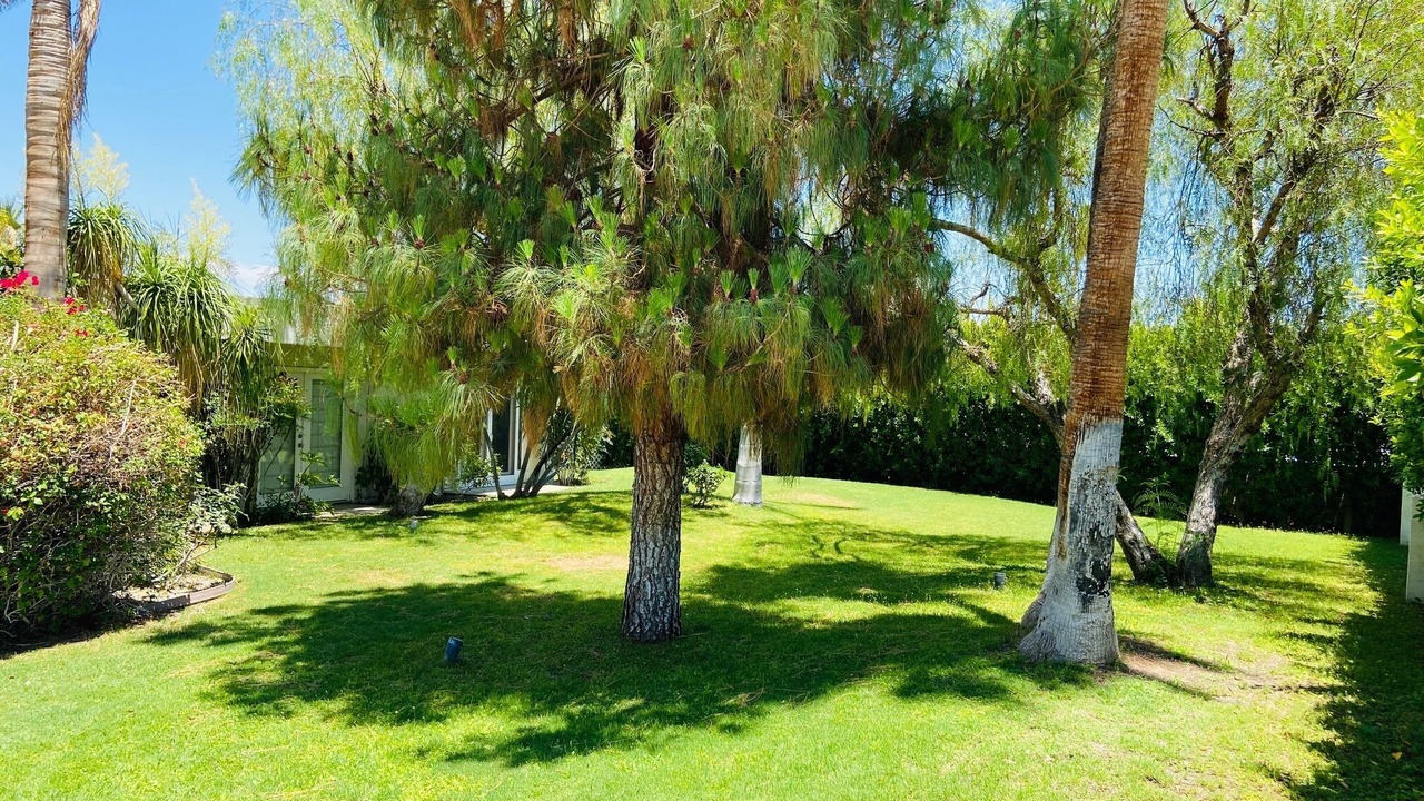 Photo of Outdoor in Palm Desert