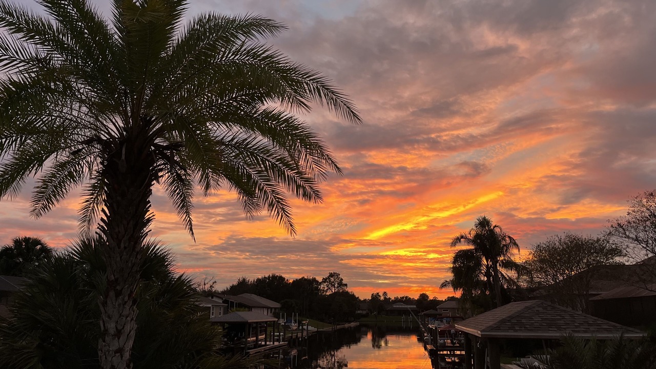 Photo of Others in Palm Harbor