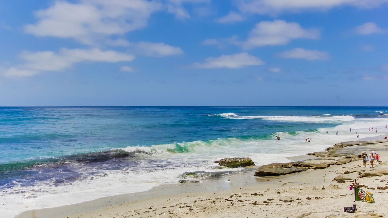 Photo of Others in Beach Barber Tract