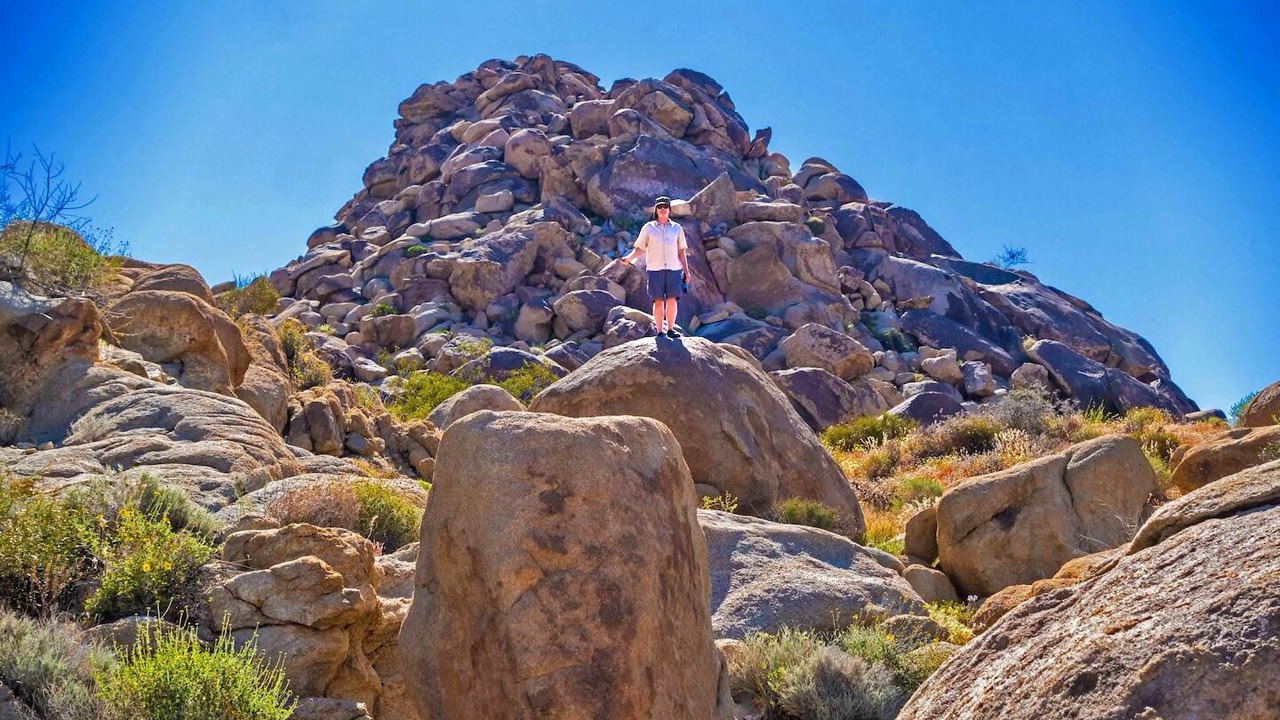 Photo of Others in Joshua Tree