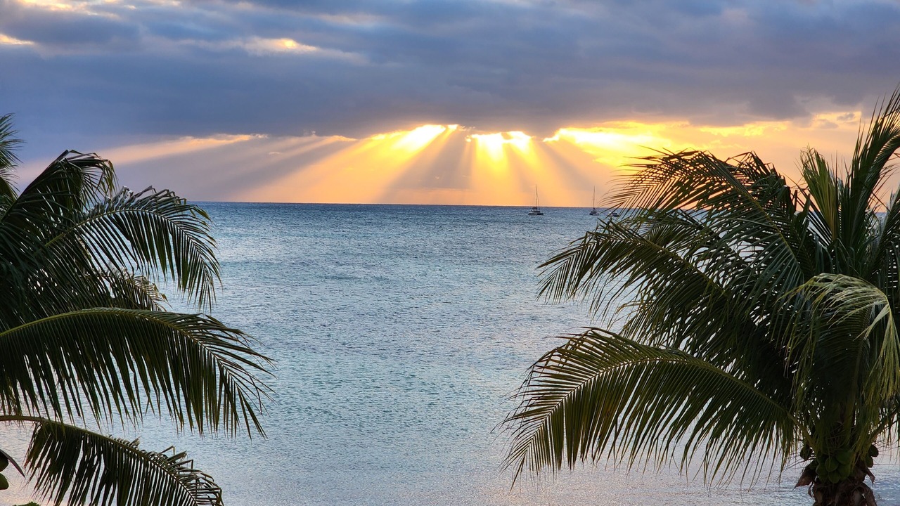Photo of Others in Palm Cay
