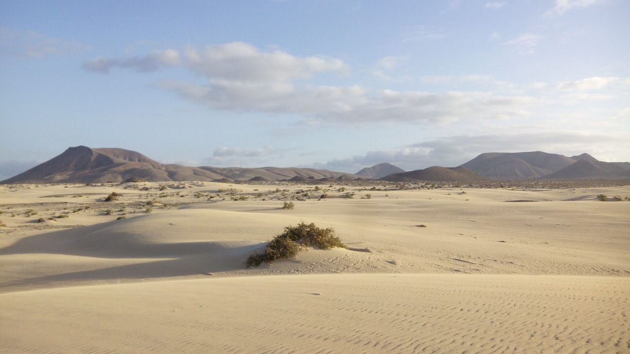 Photo of Others in Corralejo