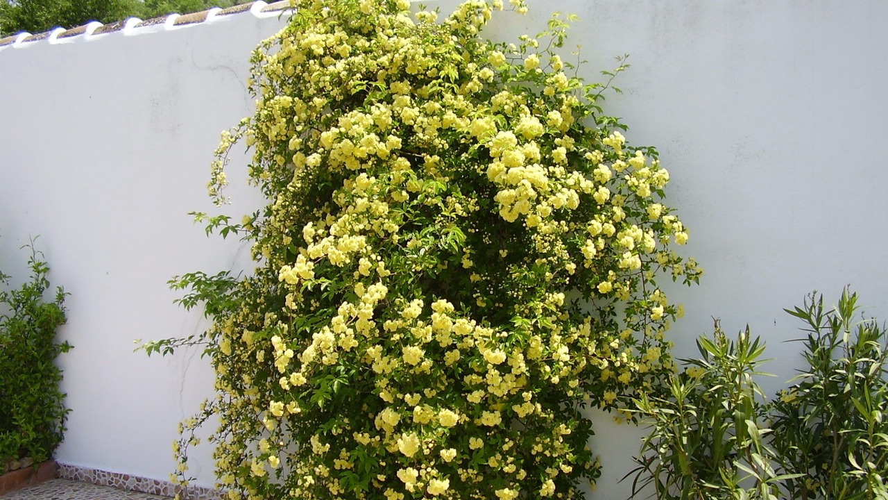 Photo of Outdoor in Fuente del Conde