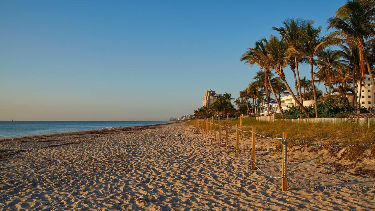 Photo of Others in Lauderdale Beach