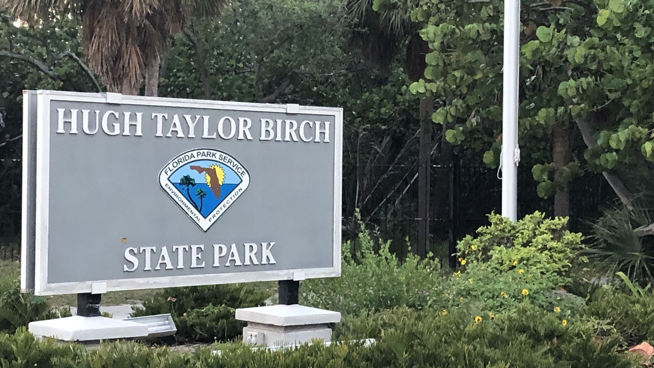 Photo of Others in Lauderdale Beach