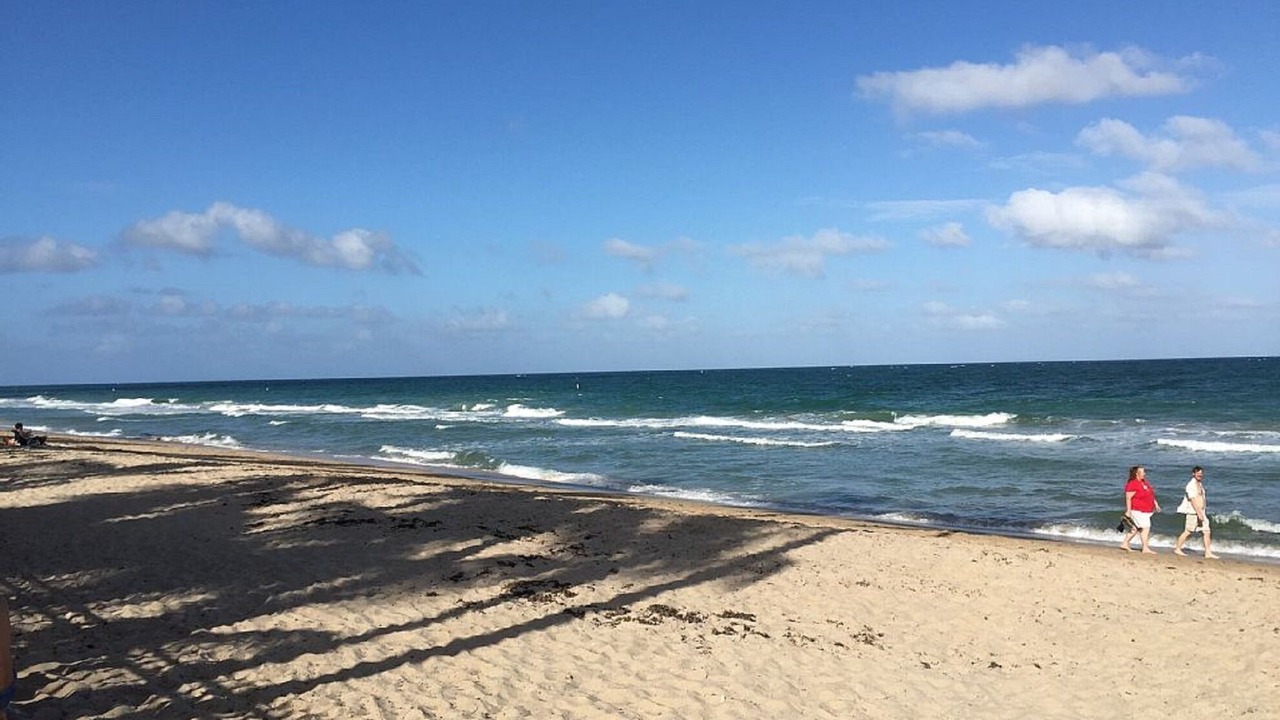 Photo of Others in Lauderdale Beach