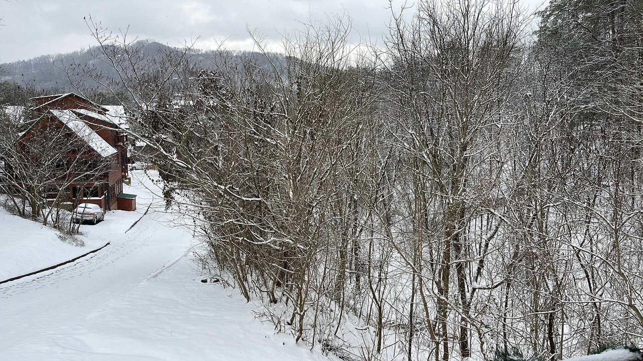 Photo of Others in Pigeon Forge
