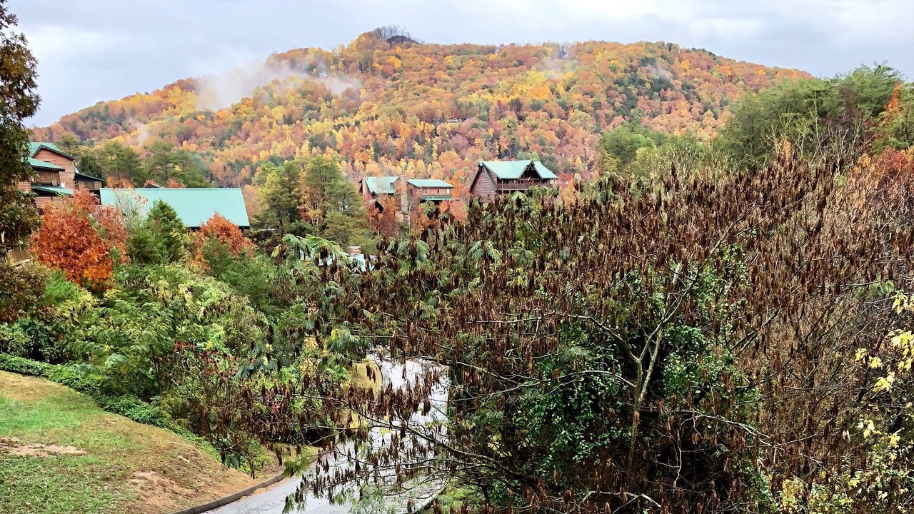 Photo of Others in Pigeon Forge