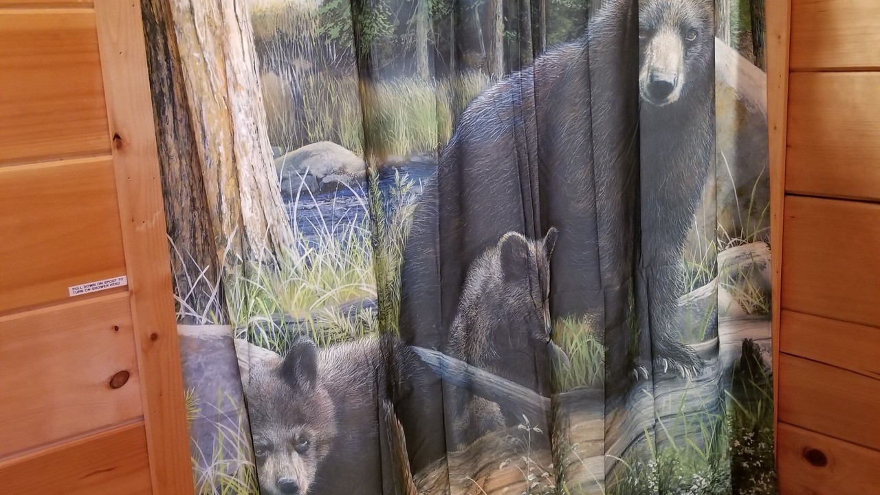 Photo of Bathroom in Pigeon Forge