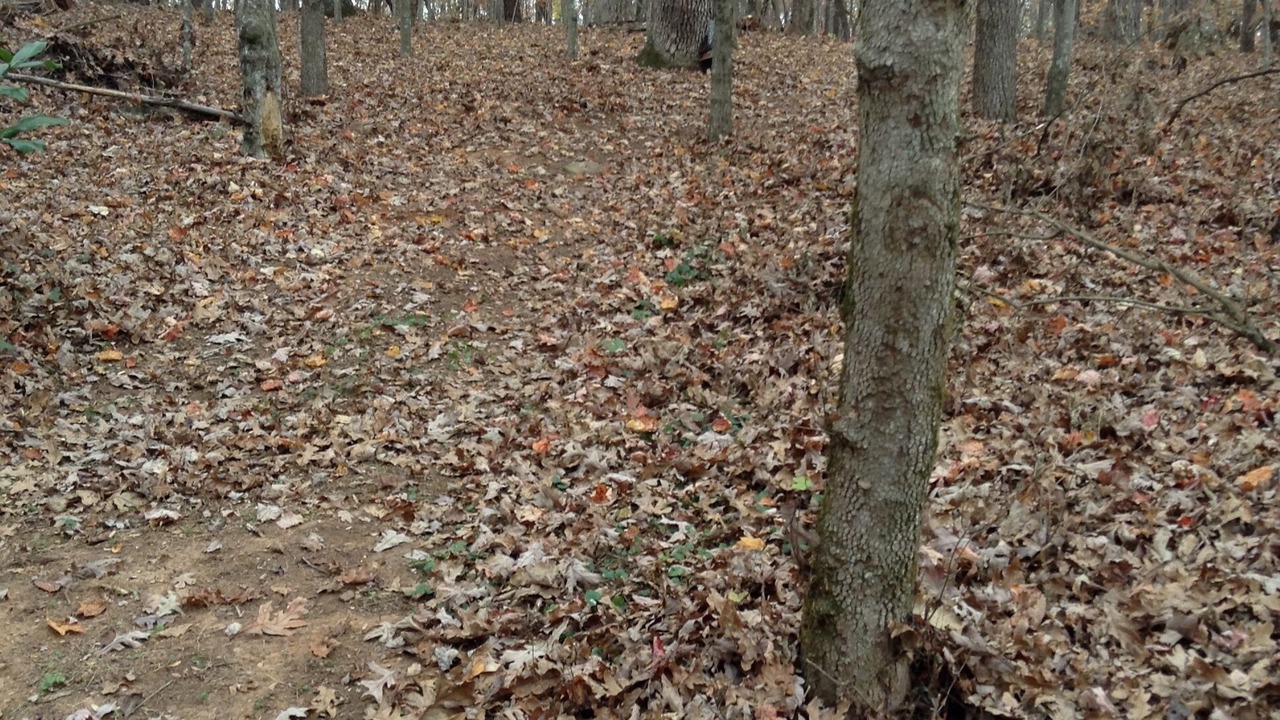Photo of Others in Elkin
