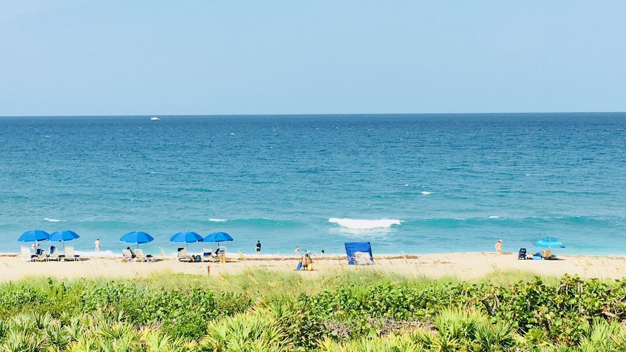 Photo of Others in Stuart