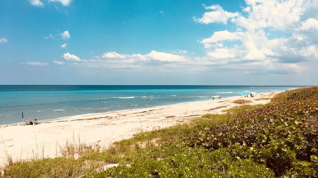Photo of Others in Stuart
