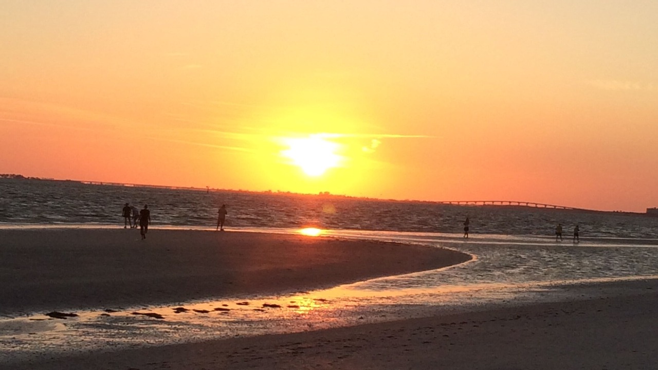 Photo of Others in Fort Myers Beach