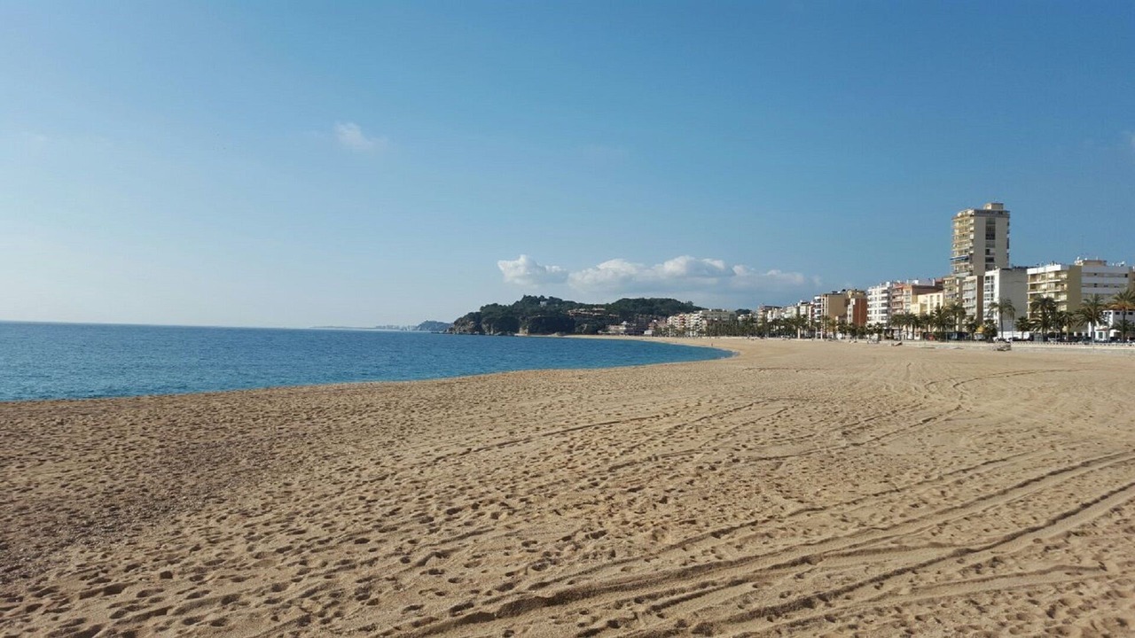 Photo of Others in Lloret Town Center