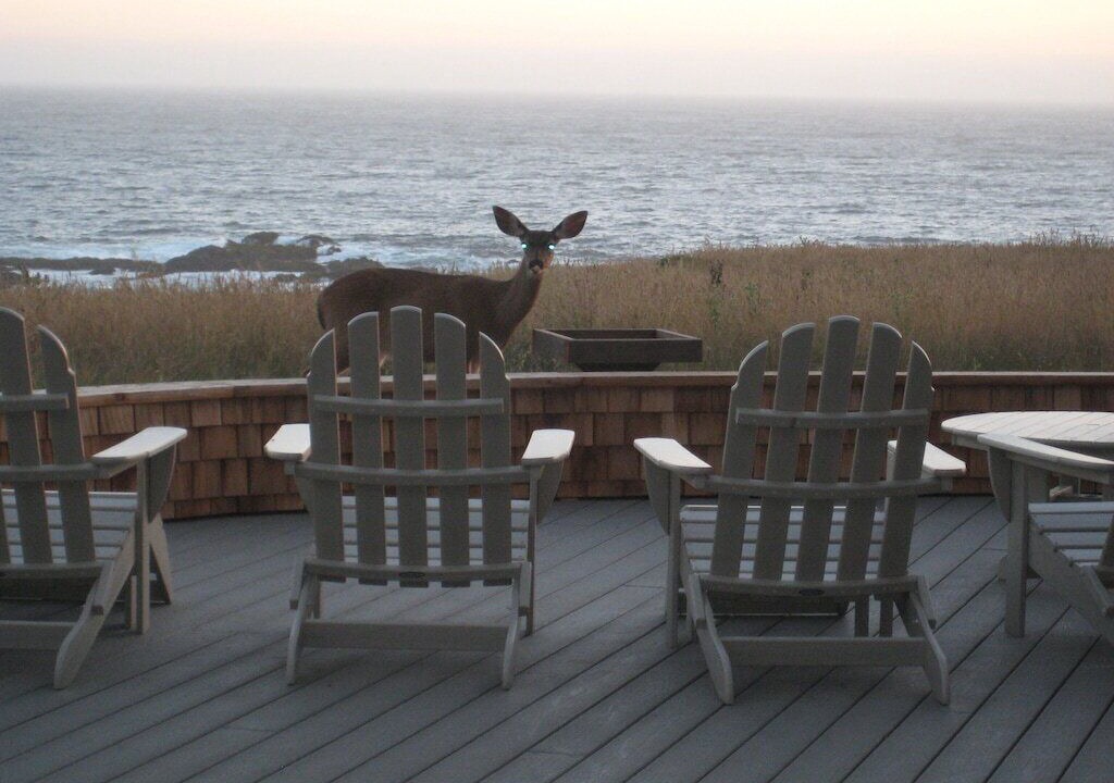 Photo of Others in Sea Ranch