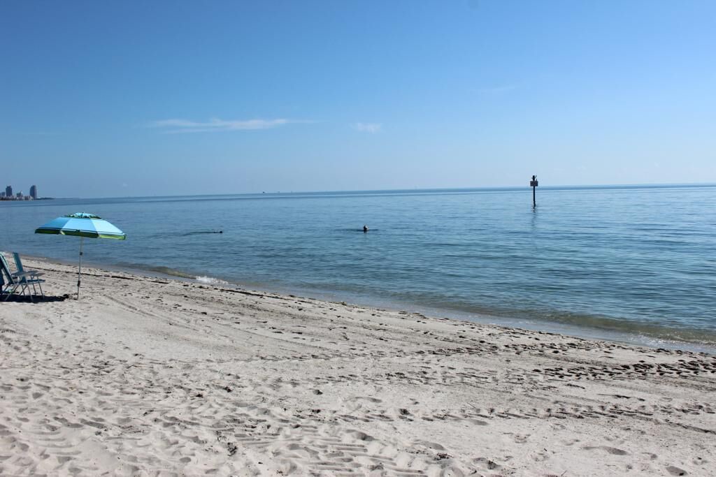 Photo of Others in Key Biscayne