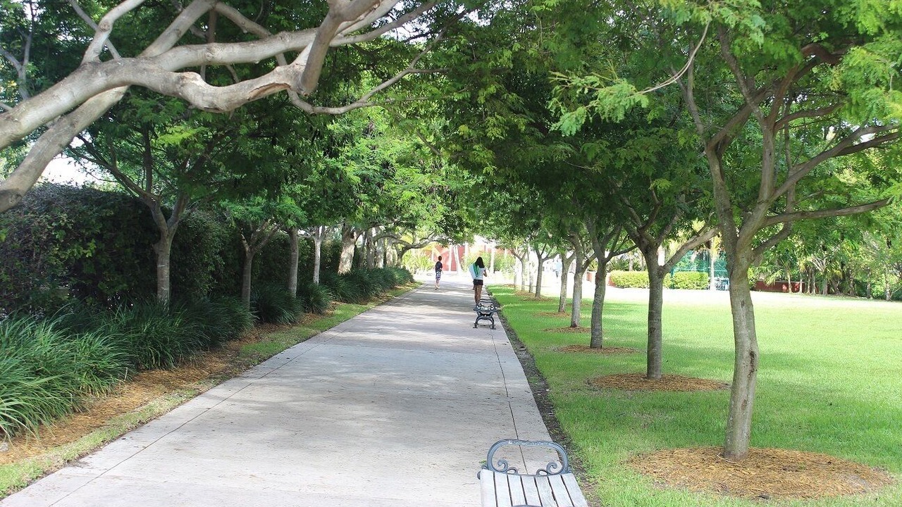 Photo of Others in Key Biscayne