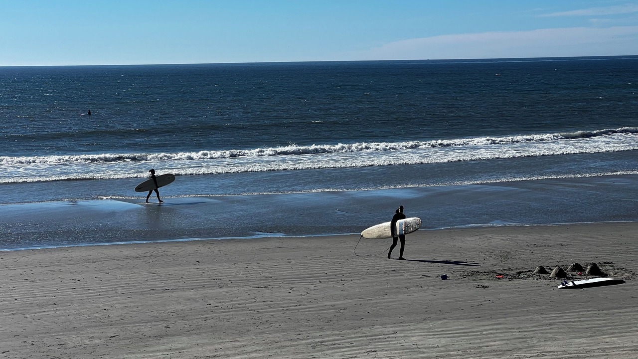 Photo of Others in North Pacific Beach