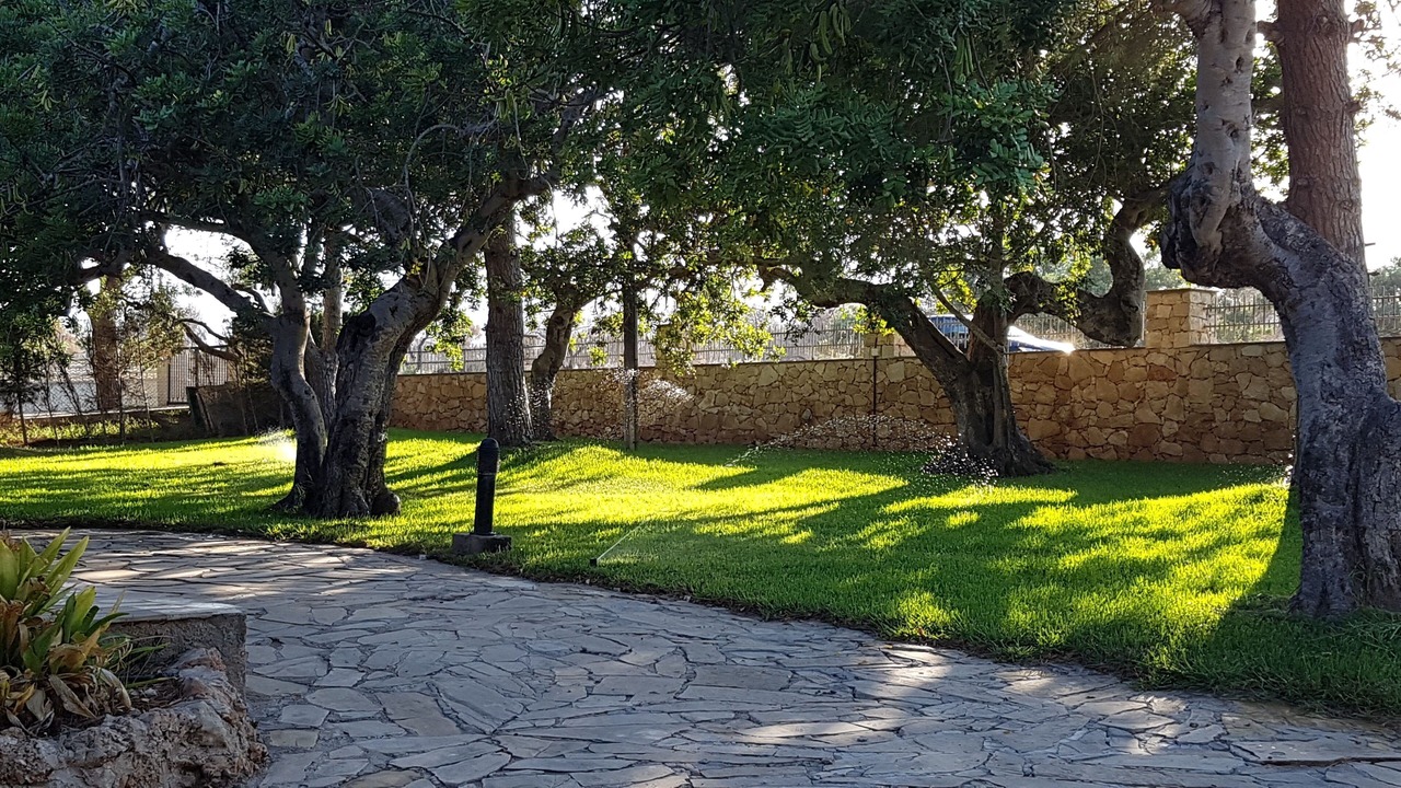 Photo of Outdoor in Alcanar