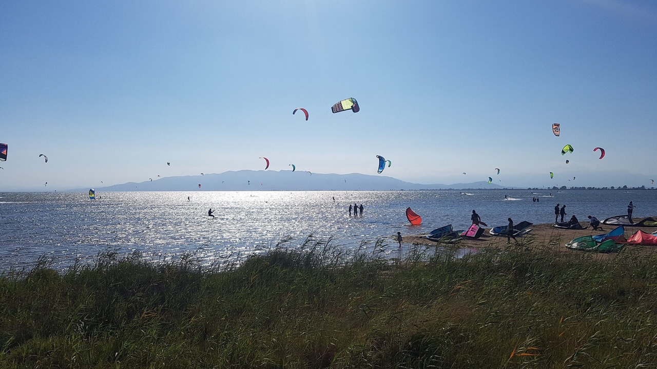 Photo of Others in Alcanar