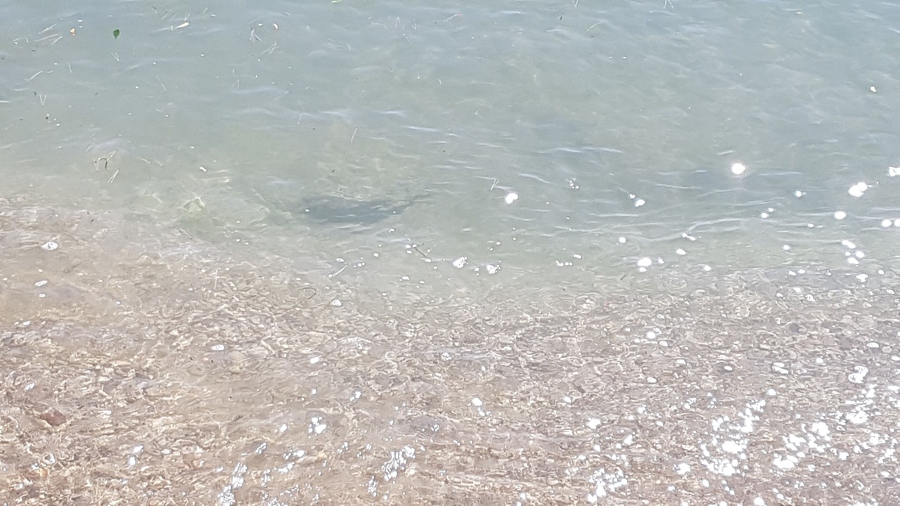 Photo of Others in Alcanar