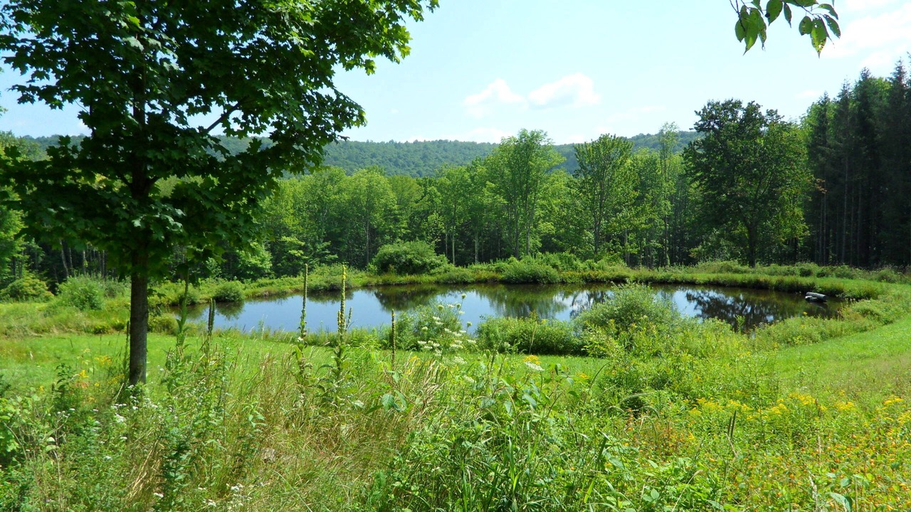 Photo of Outdoor in Roscoe